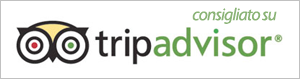 Trip Advisor